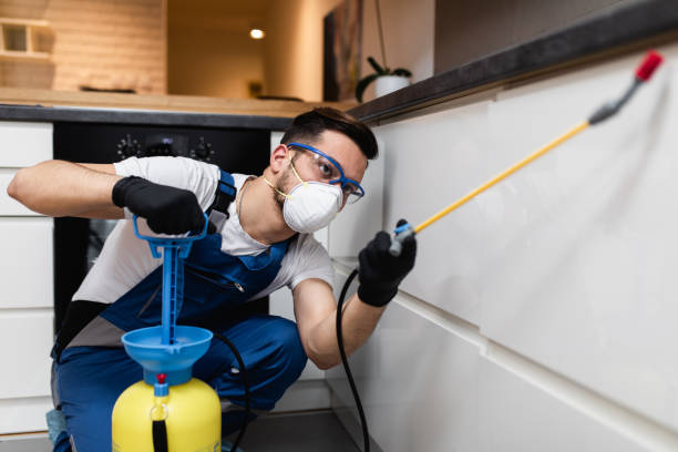 Best Local Pest Control Services  in San Diego, TX