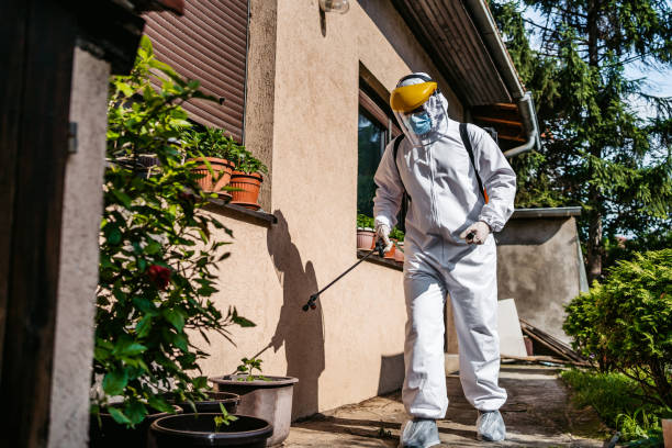 Best Emergency Pest Control  in San Diego, TX