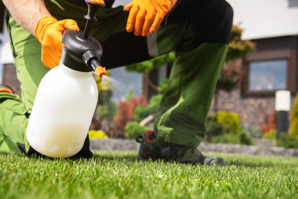 Best Affordable Pest Control Services  in San Diego, TX