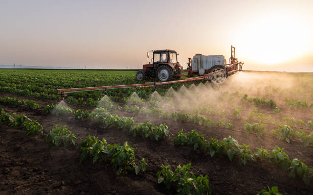 Best Mosquito Control Services  in San Diego, TX