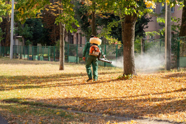 Wildlife Control Services in San Diego, TX
