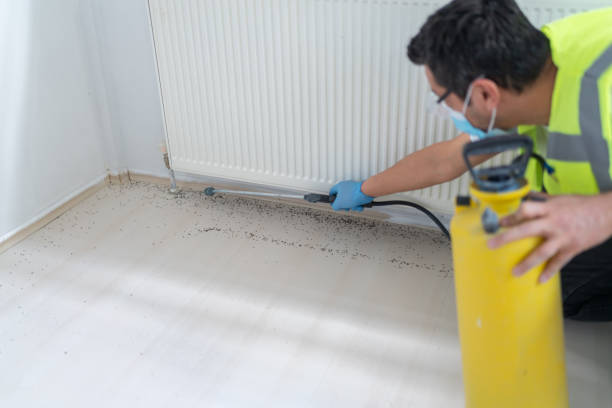  San Diego, TX Pest Control Pros