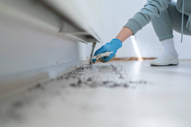 Reliable San Diego, TX Pest Control Solutions
