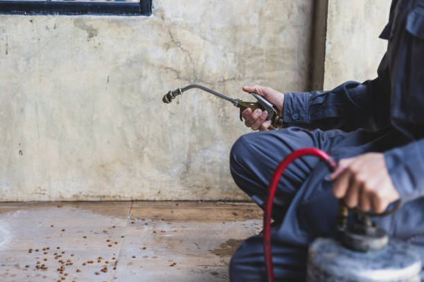 Best Pest Control for Homes  in San Diego, TX