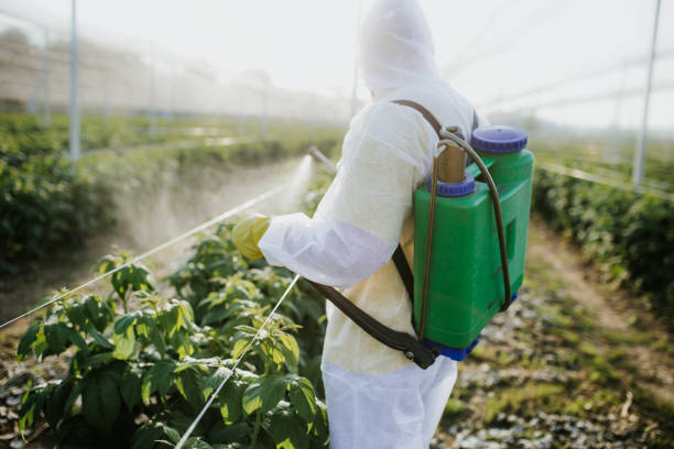 Best Cockroach Control Services  in San Diego, TX